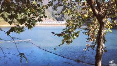 千岛湖森林氧吧